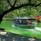Lush green is affecting your eyes in Dalyan Turkey